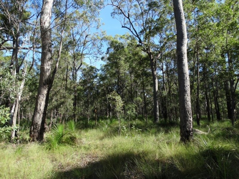 806 Capricornia Drive, Deepwater QLD 4674
