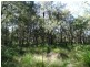 806 Capricornia Drive, Deepwater QLD 4674
