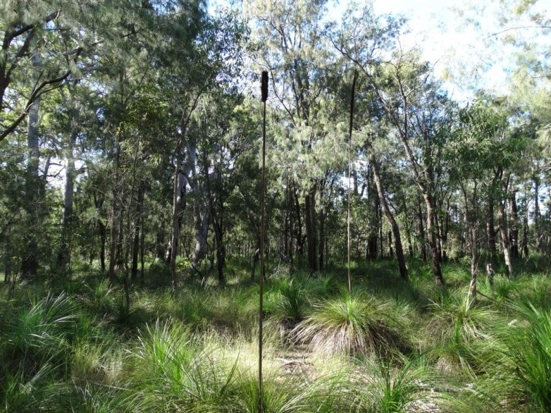 806 Capricornia Drive, Deepwater QLD 4674