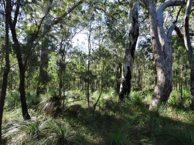 806 Capricornia Drive, Deepwater QLD 4674