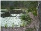 806 Capricornia Drive, Deepwater QLD 4674