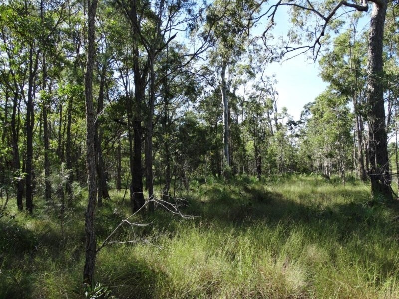 806 Capricornia Drive, Deepwater QLD 4674