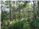 806 Capricornia Drive, Deepwater QLD 4674