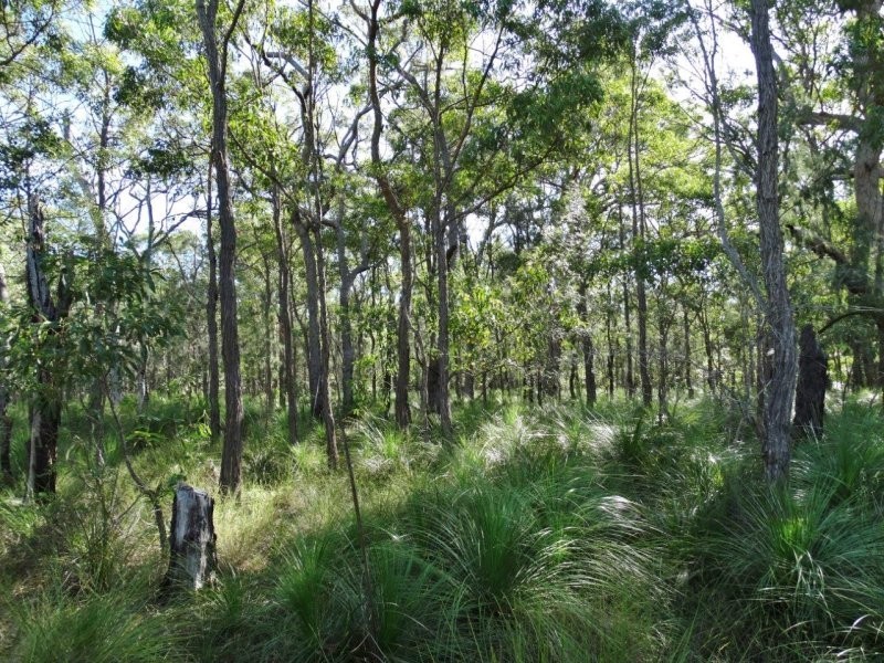 806 Capricornia Drive, Deepwater QLD 4674