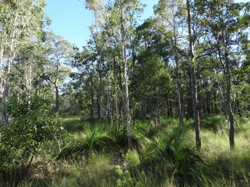 806 Capricornia Drive, Deepwater QLD 4674