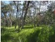 806 Capricornia Drive, Deepwater QLD 4674