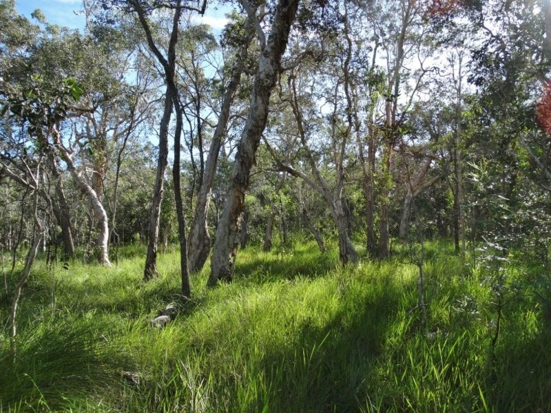 806 Capricornia Drive, Deepwater QLD 4674