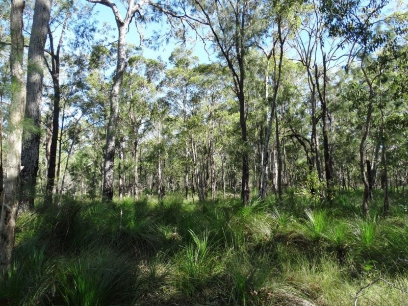 806 Capricornia Drive, Deepwater QLD 4674