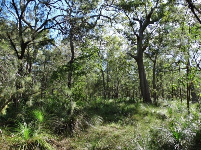 806 Capricornia Drive, Deepwater QLD 4674