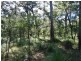 806 Capricornia Drive, Deepwater QLD 4674