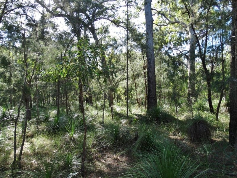 806 Capricornia Drive, Deepwater QLD 4674