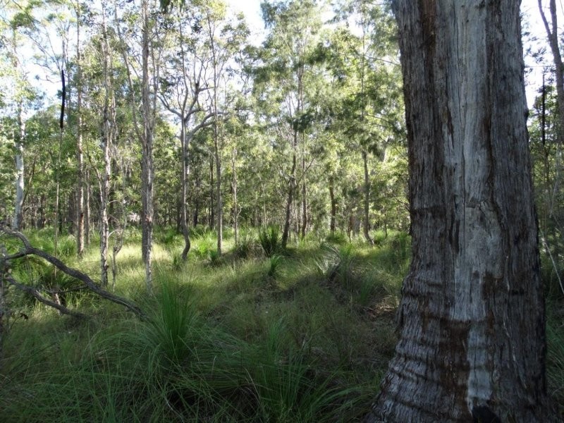 806 Capricornia Drive, Deepwater QLD 4674