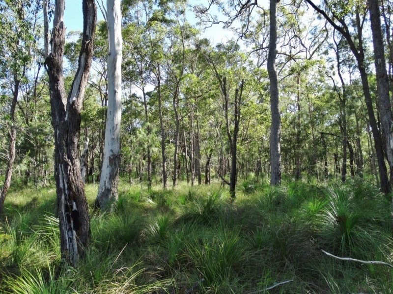 806 Capricornia Drive, Deepwater QLD 4674