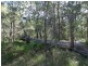 806 Capricornia Drive, Deepwater QLD 4674