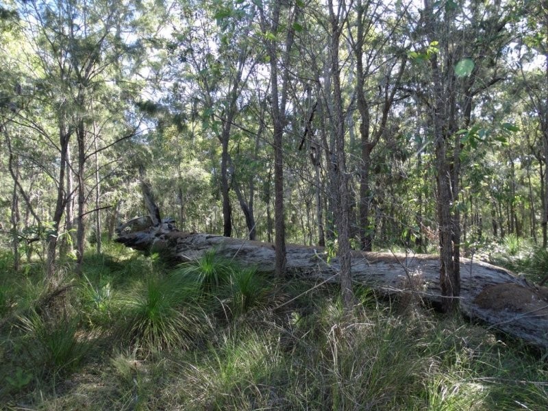 806 Capricornia Drive, Deepwater QLD 4674