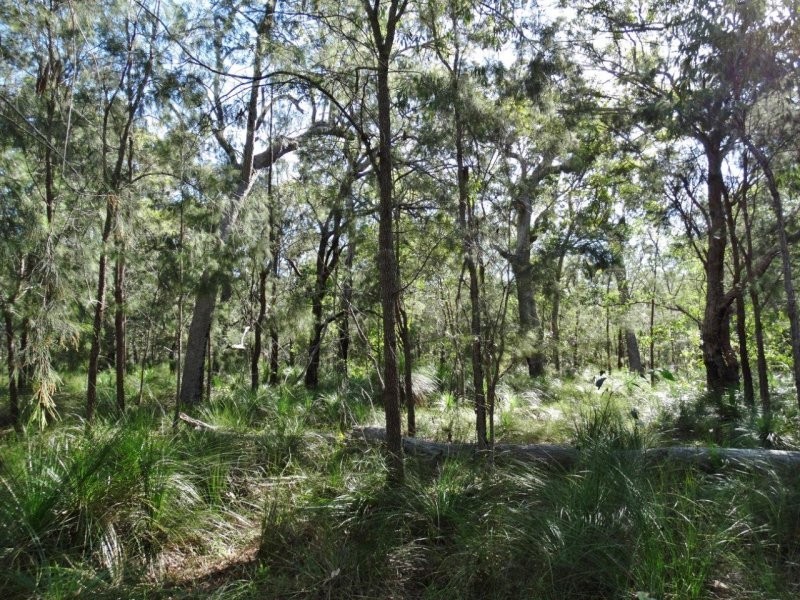 806 Capricornia Drive, Deepwater QLD 4674
