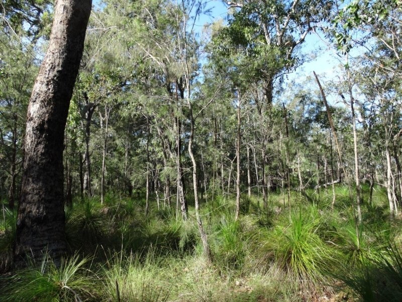 806 Capricornia Drive, Deepwater QLD 4674