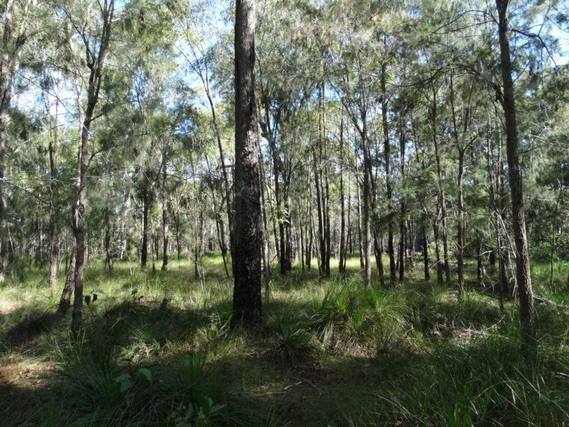 806 Capricornia Drive, Deepwater QLD 4674
