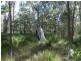 806 Capricornia Drive, Deepwater QLD 4674