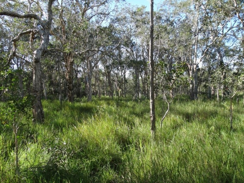 806 Capricornia Drive, Deepwater QLD 4674