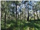 806 Capricornia Drive, Deepwater QLD 4674