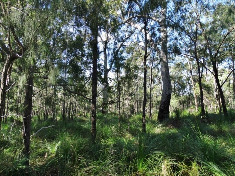 806 Capricornia Drive, Deepwater QLD 4674