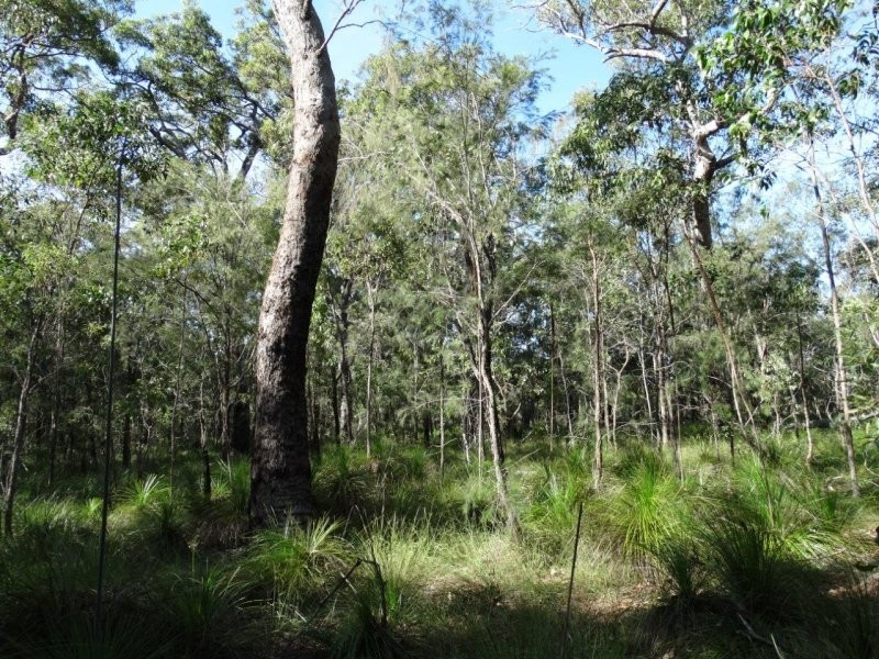 806 Capricornia Drive, Deepwater QLD 4674