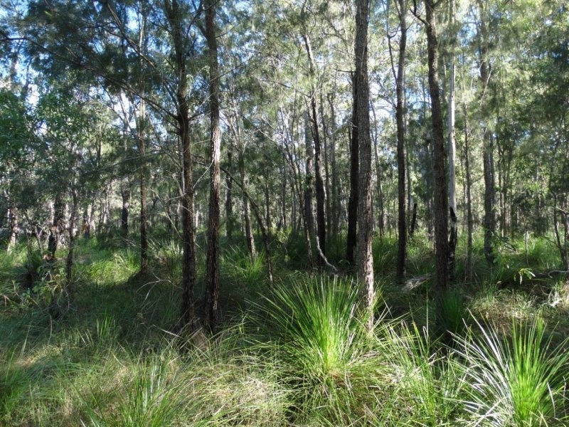 806 Capricornia Drive, Deepwater QLD 4674