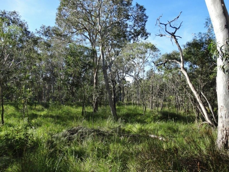 806 Capricornia Drive, Deepwater QLD 4674
