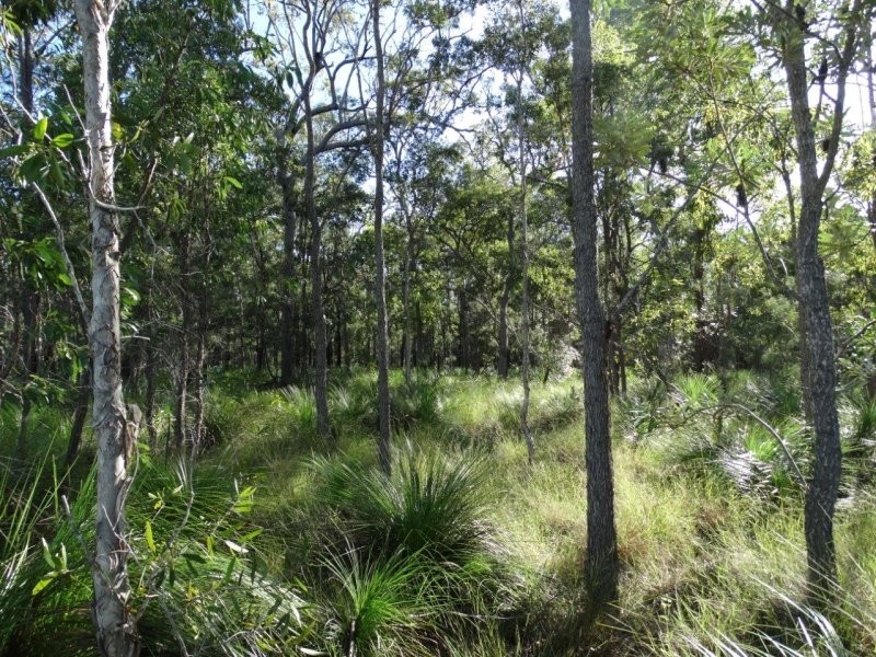 806 Capricornia Drive, Deepwater QLD 4674