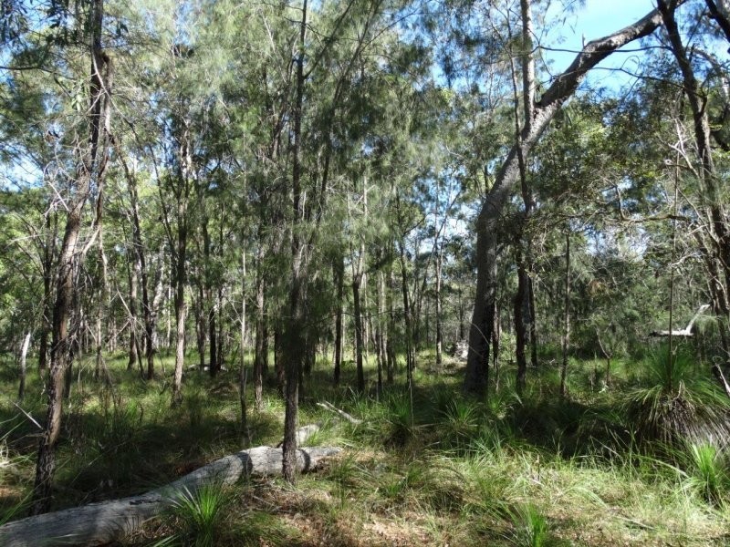 806 Capricornia Drive, Deepwater QLD 4674