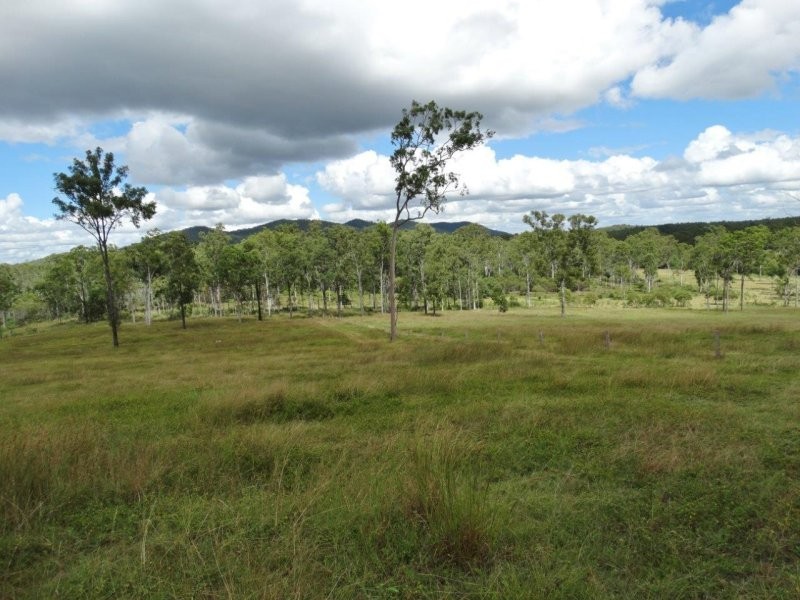 1099 Monduran Road, Waterloo QLD 4673