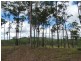 1099 Monduran Road, Waterloo QLD 4673