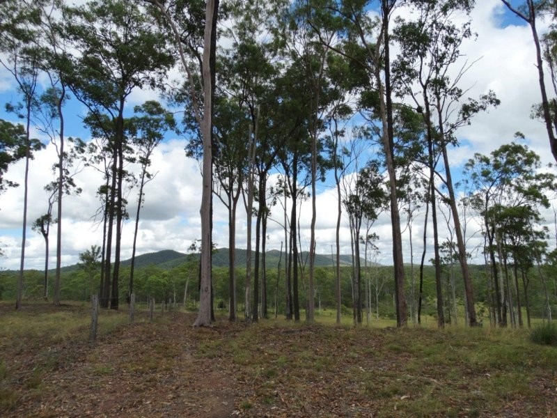 1099 Monduran Road, Waterloo QLD 4673