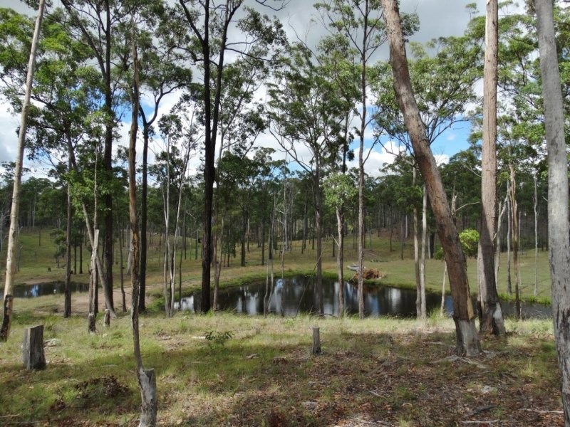 1099 Monduran Road, Waterloo QLD 4673