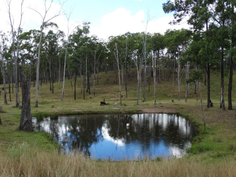 1099 Monduran Road, Waterloo QLD 4673