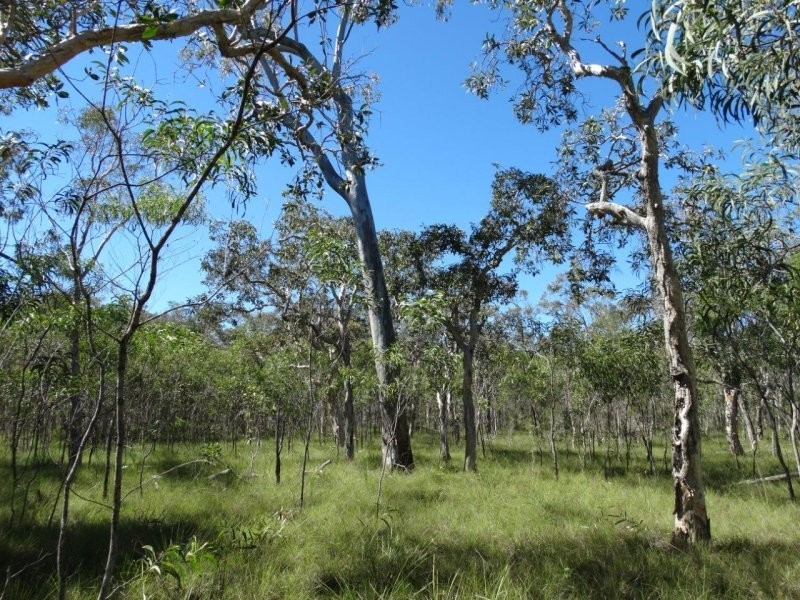 Lot 72 Matchbox Road, Deepwater QLD 4674