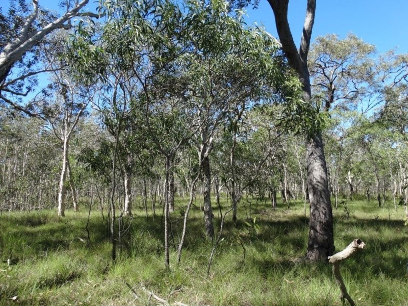 Lot 72 Matchbox Road, Deepwater QLD 4674