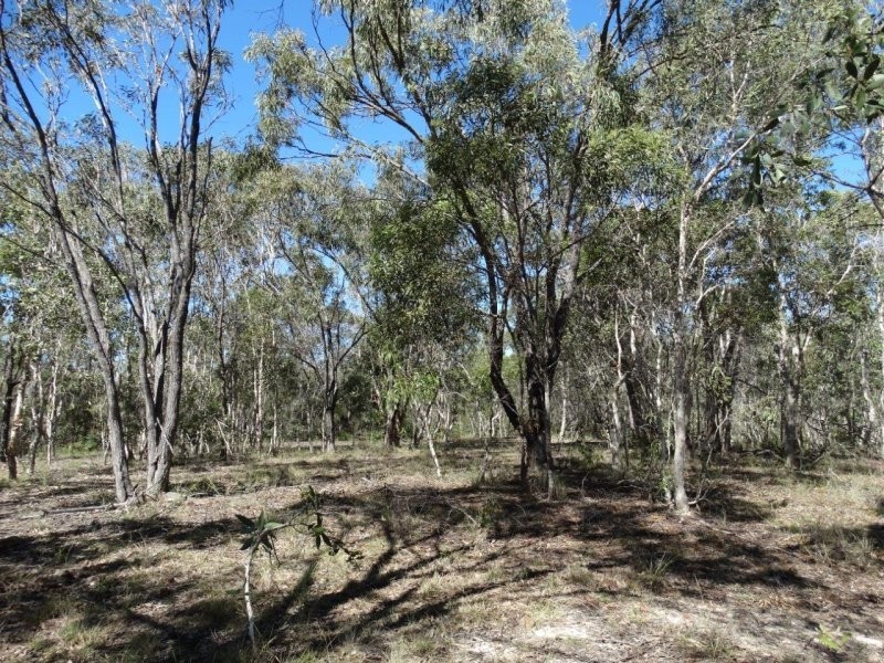 Lot 72 Matchbox Road, Deepwater QLD 4674