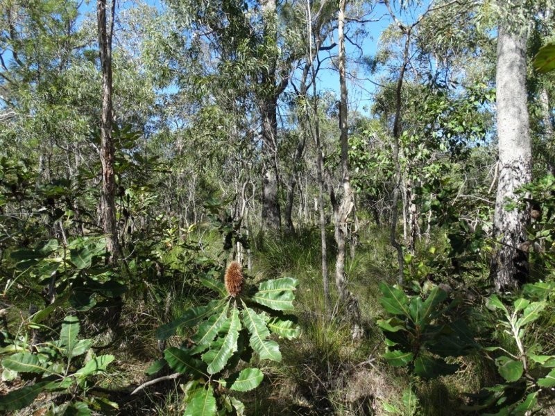 Lot 72 Matchbox Road, Deepwater QLD 4674