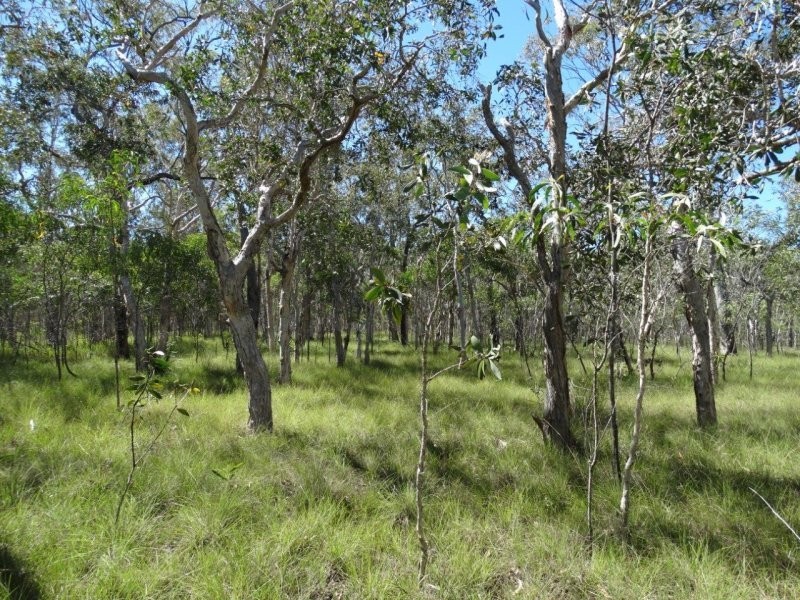 Lot 72 Matchbox Road, Deepwater QLD 4674