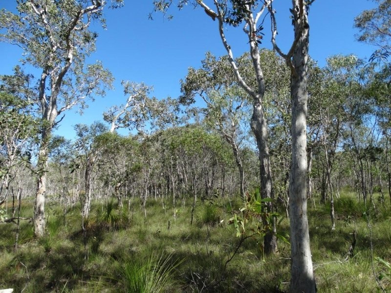 Lot 72 Matchbox Road, Deepwater QLD 4674