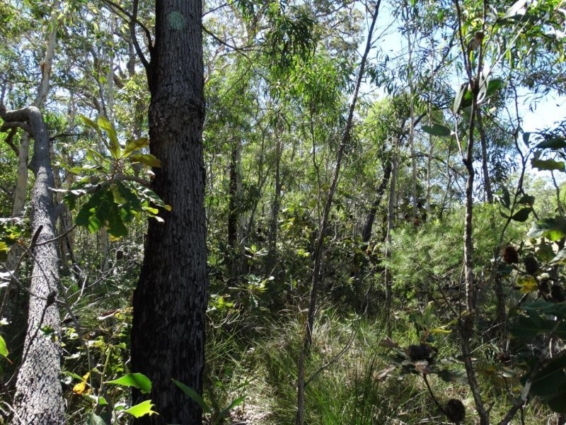 Lot 72 Matchbox Road, Deepwater QLD 4674