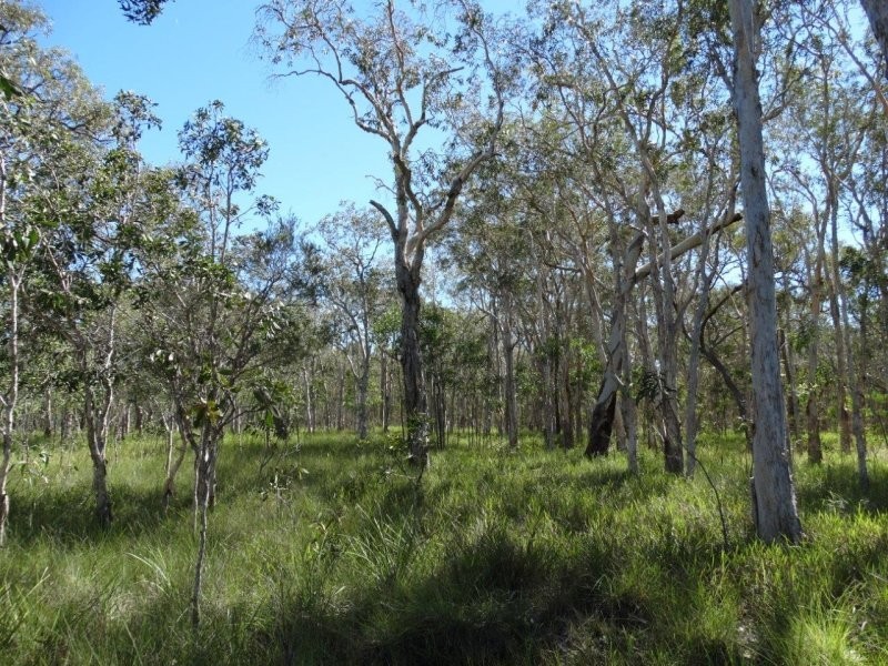 Lot 72 Matchbox Road, Deepwater QLD 4674