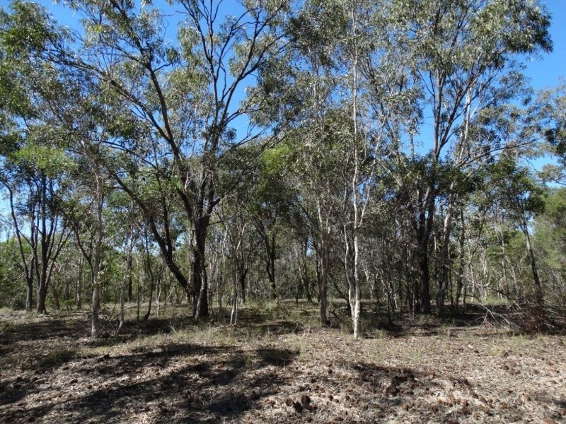 Lot 72 Matchbox Road, Deepwater QLD 4674