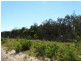 Lot 72 Matchbox Road, Deepwater QLD 4674