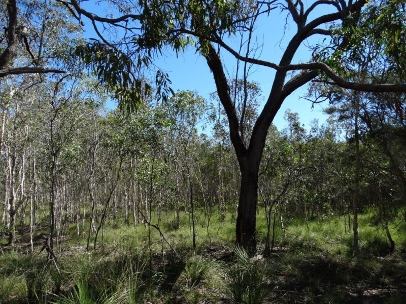 Lot 72 Matchbox Road, Deepwater QLD 4674