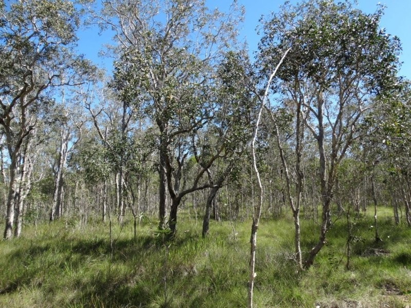 Lot 72 Matchbox Road, Deepwater QLD 4674