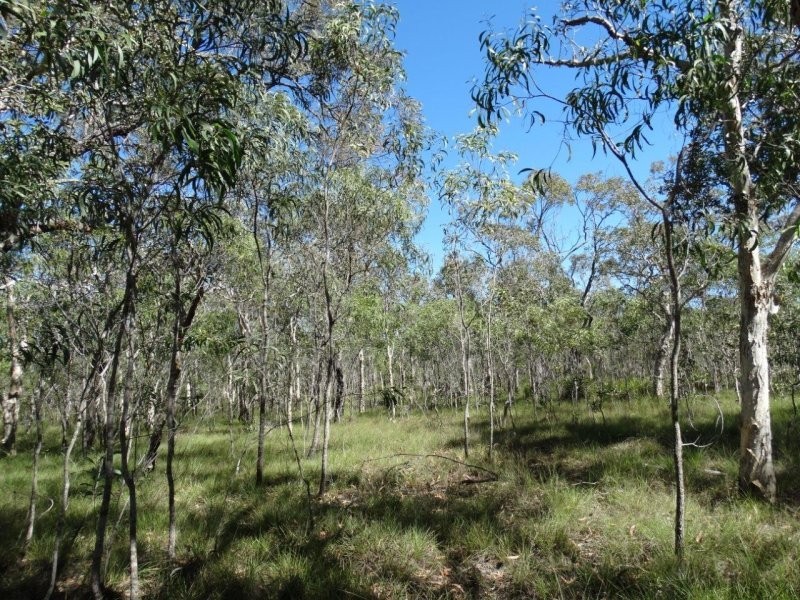 Lot 72 Matchbox Road, Deepwater QLD 4674