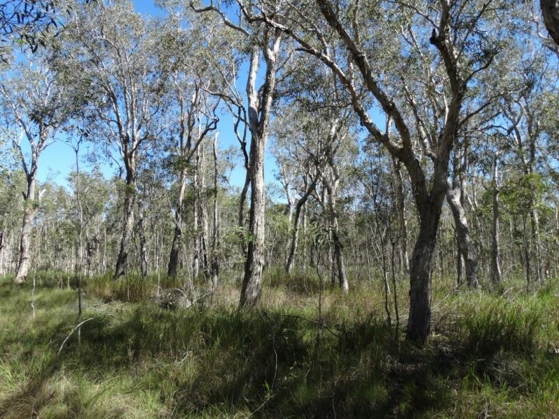 Lot 72 Matchbox Road, Deepwater QLD 4674